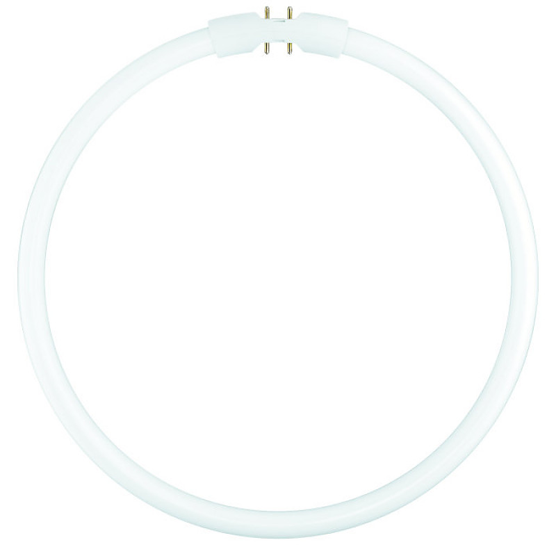 FC 40W/840 2GX13 OSRAM кольцевая фото 1