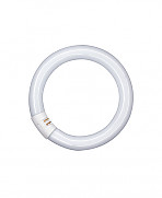 L 22W/840 C G10Q кольцевая OSRAM